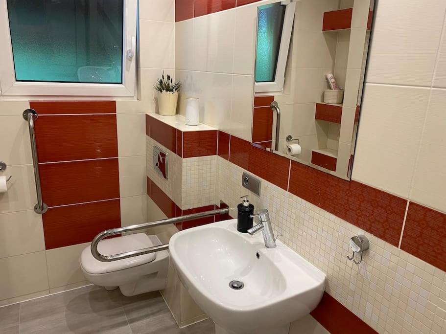 4 Bedroom Family House With Access To A Hot Tub Goczalkowice-Zdroj Exterior photo